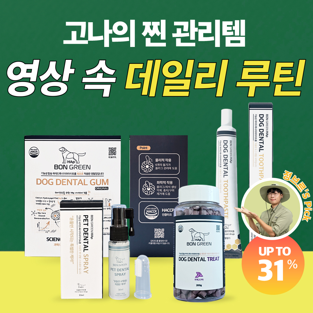 🔥고나의 찐 관리템! 영상 속 데일리 루틴 (덴탈껌 15p & 덴탈스프레이 & 덴탈트릿 & 덴탈치약)