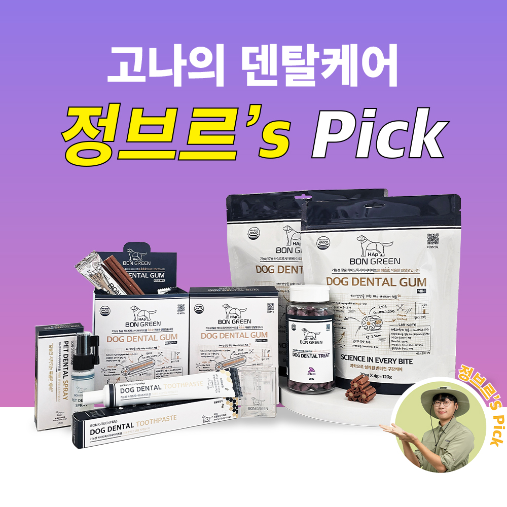🔥고나의 덴탈케어! Three Step